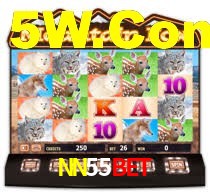 VIP Casino NN55Bet